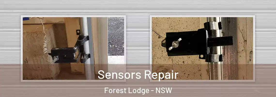Sensors Repair Forest Lodge - NSW