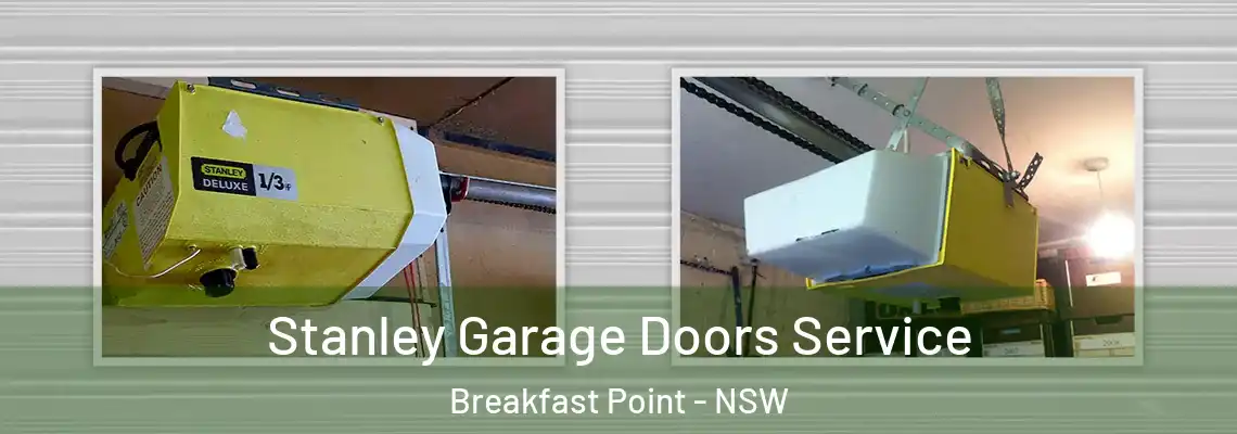 Stanley Garage Doors Service Breakfast Point - NSW